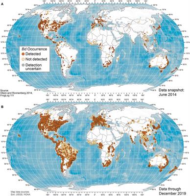 Global Patterns of the Fungal Pathogen Batrachochytrium dendrobatidis Support Conservation Urgency
